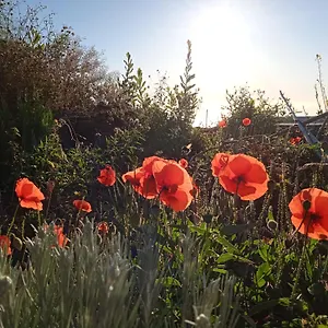 Casa Ben Abora Las Rosas (El Hierro)